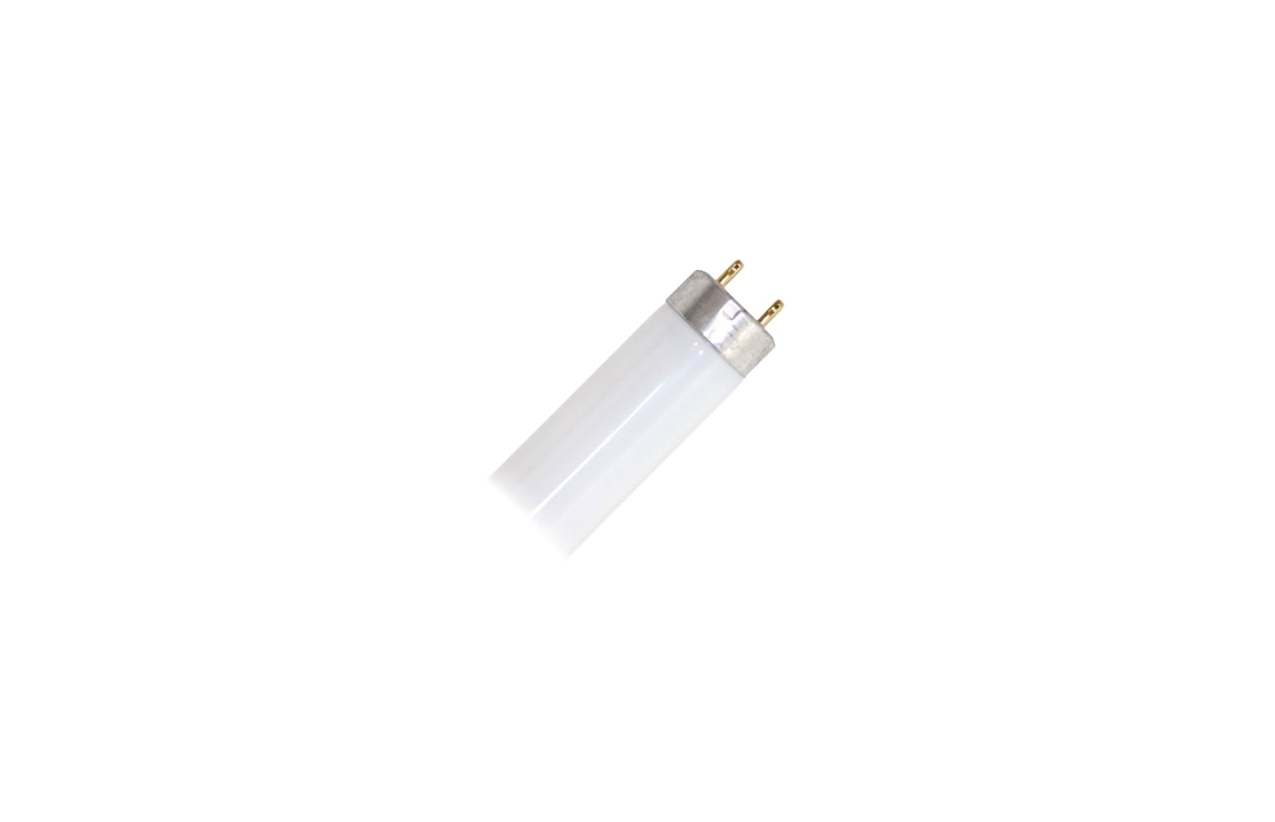 Lâmpada fluorescente tubular T8 Ledvance LUMILUX 36W 120cm 6500K (branco frio)