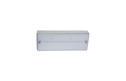 Armadura de emergência saliente LED IP65 110lm NP/P (Aerlux)